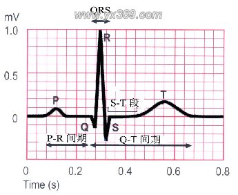 八,心电图各主要波段的意义 p波——左右两心房的去极化.